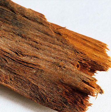 Yohimbe (Corynanthe johimbe)